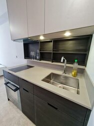 Haus On Handy (D9), Condominium #457092051